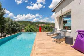 House with swimming pool near Lyon